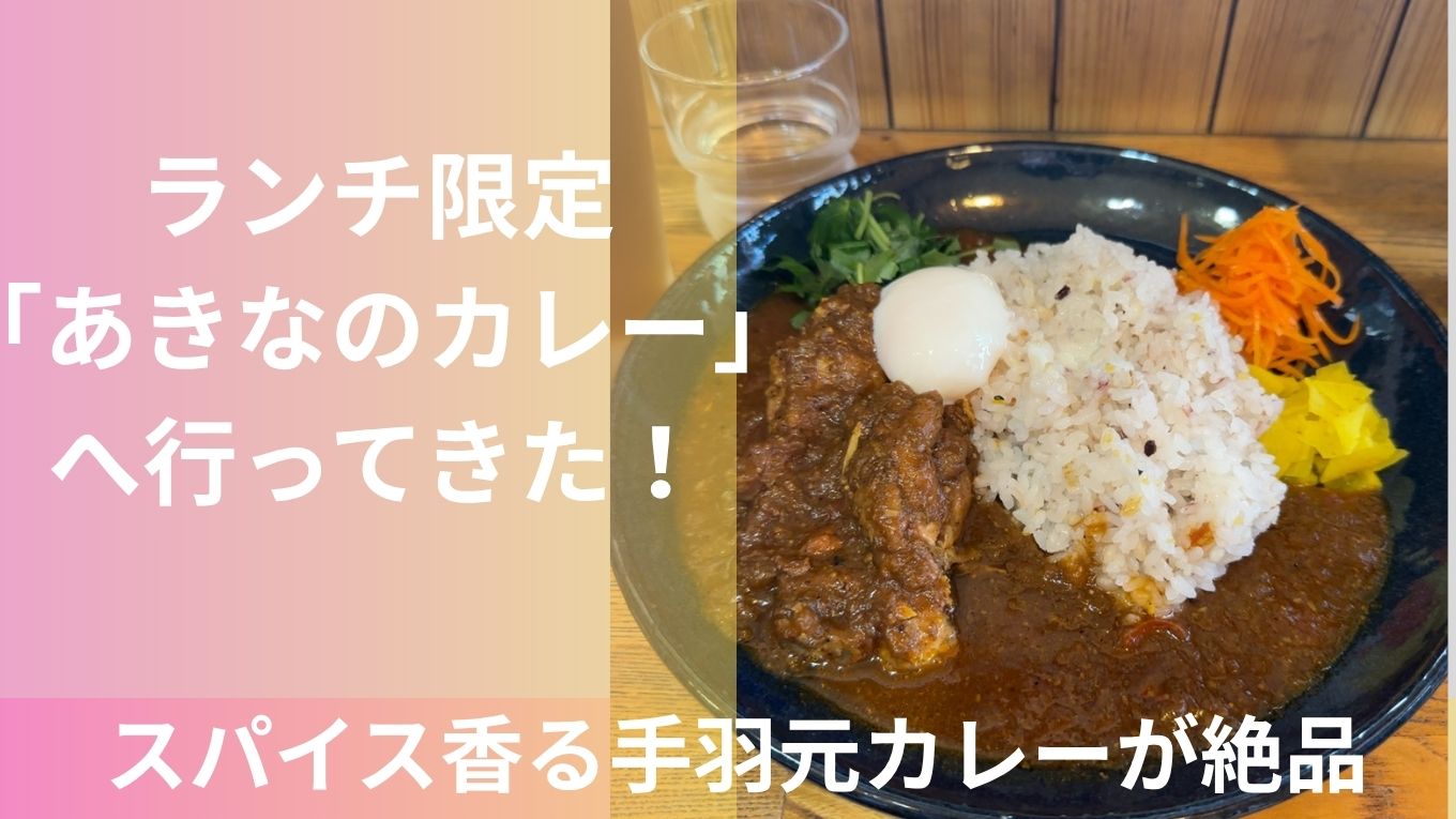 平日ランチ限定「あきなのカレー」へ行ってきた！スパイス香る手羽元カレーが絶品